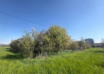 Terreno agricolo Zanica - foto 13