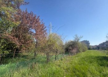 Terreno agricolo Zanica - foto 14