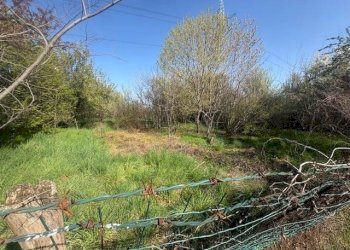 Terreno agricolo Zanica - foto 15