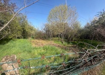 Terreno agricolo Zanica - foto 16