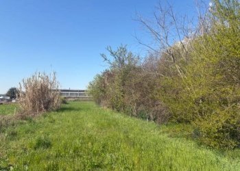 Terreno agricolo Zanica - foto 17