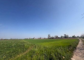 Terreno agricolo Urgnano - foto 2