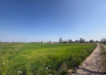 Terreno agricolo Urgnano - foto 5