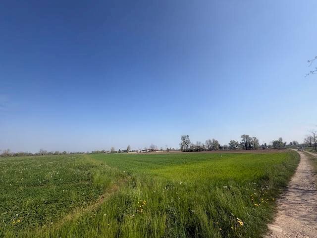 Terreno agricolo Urgnano - foto 2