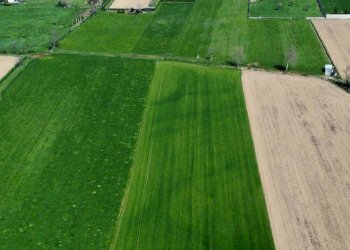 Terreno agricolo Urgnano - foto 4
