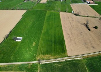 Terreno agricolo Urgnano - foto 6