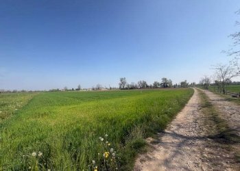 Terreno agricolo Urgnano - foto 8