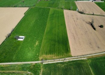 Terreno agricolo Urgnano - foto 9