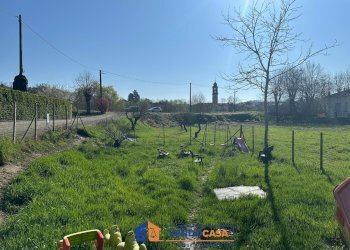 Casa indipendente Castelnuovo Belbo - foto 19