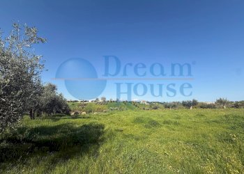 Foto 3 - Terreno edificabile Enrico de nicola, Mosciano Sant'Angelo - foto 3