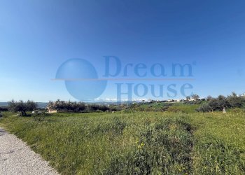 Foto 6 - Terreno edificabile Enrico de nicola, Mosciano Sant'Angelo - foto 6