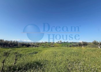 Foto 8 - Terreno edificabile Enrico de nicola, Mosciano Sant'Angelo - foto 8