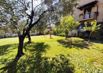 Foto 7 - Casa indipendente via provinciale
 
79, Camaiore - foto 7