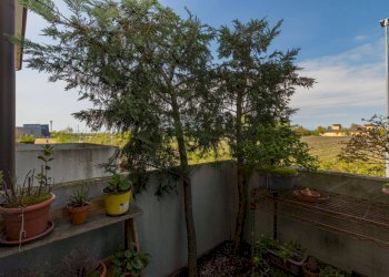 Foto 17 - Appartamento Via Torcello
 
16, Quarto d'Altino - foto 17