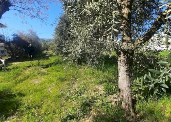 Foto 13 - Appartamento c.da piane
 
63, Moresco - foto 13