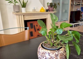 Foto 23 - Appartamento Via della Stazione, Colli del Tronto - foto 23