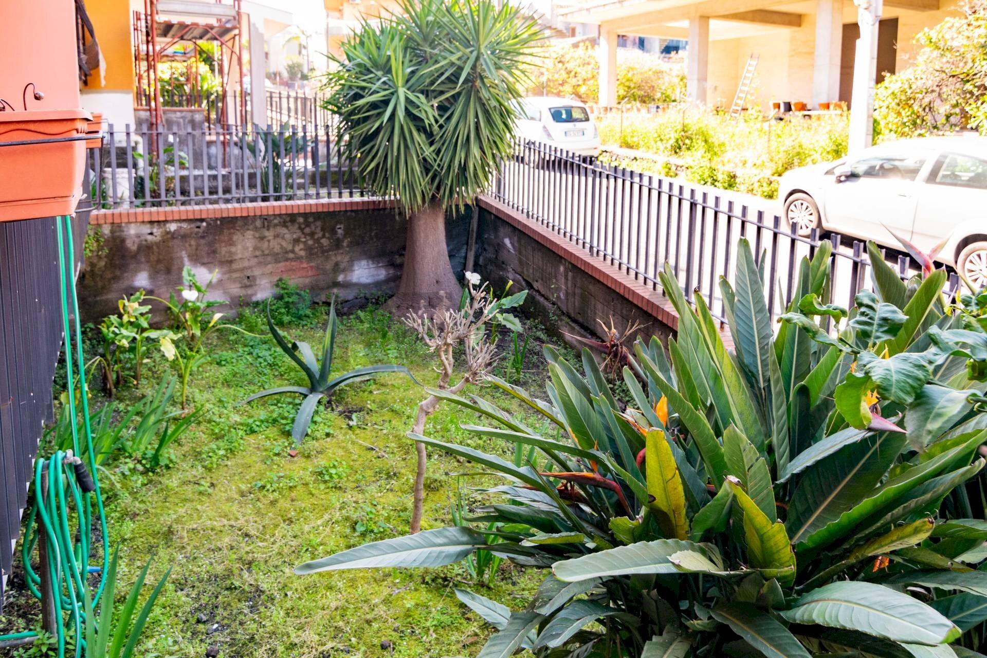 Giardino - Trilocale Via Taro
 
43, Acireale - foto 2