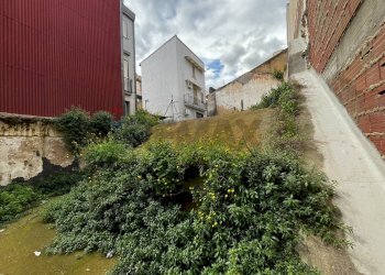 Giardino - Terreno edificabile Via Duilio
 
115, Carlentini - foto 3