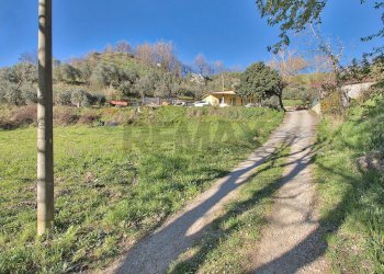 Giardino - Villa Terranuova Bracciolini - foto 25