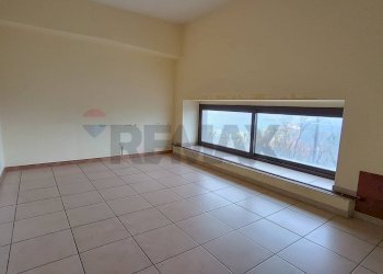 Stanza vuota - Stable - Palace Corso Sicilia
 
73, Enna - photo 14