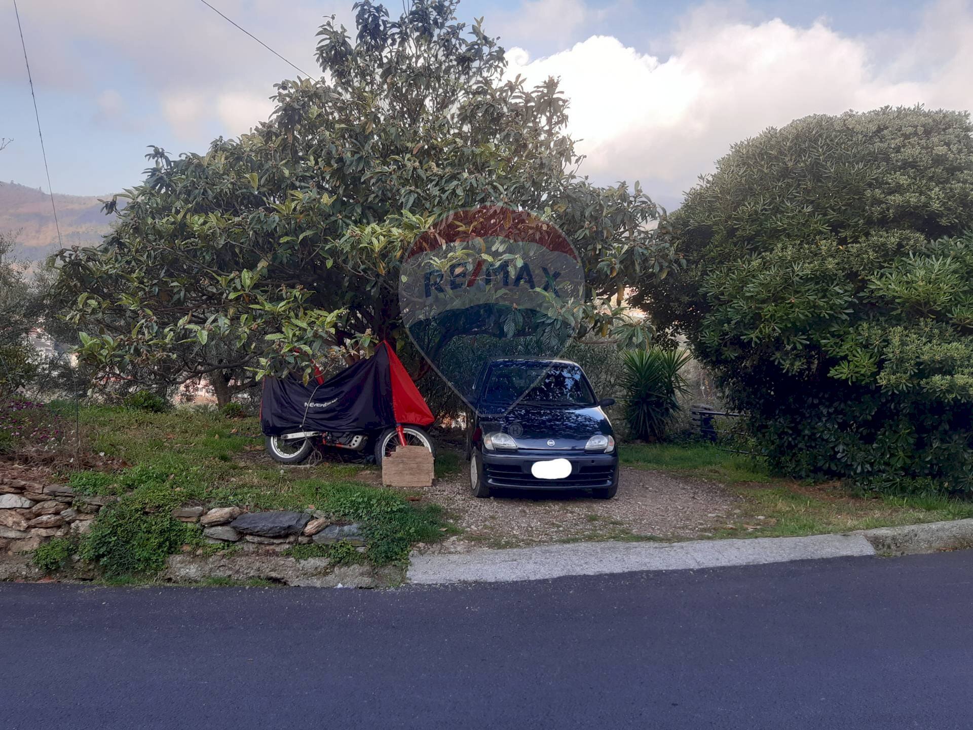 Giardino - Casa semi indipendente Vado Ligure - foto 3