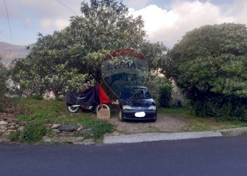 Giardino - Casa semi indipendente Vado Ligure - foto 3