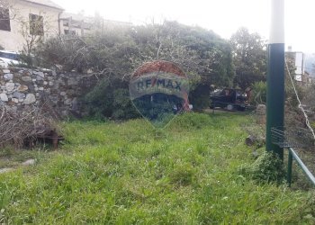 Giardino - Casa semi indipendente Vado Ligure - foto 4