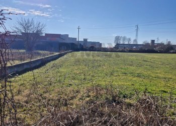 Giardino - Building land Via Torino
 
snc, Cerea - photo 4