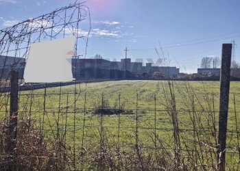 Giardino - Building land Via Torino
 
snc, Cerea - photo 6