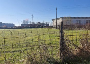 Giardino - Building land Via Torino
 
snc, Cerea - photo 7