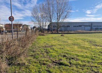 Giardino - Building land Via Torino
 
snc, Cerea - photo 10