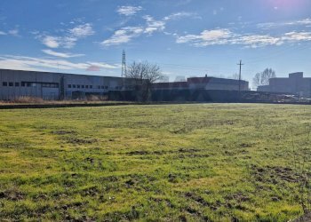 Giardino - Building land Via Torino
 
snc, Cerea - photo 11