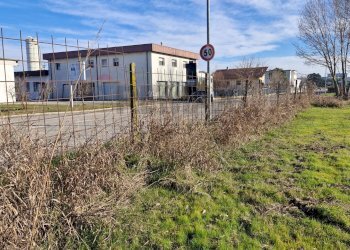 Non correlato - Building land Via Torino
 
snc, Cerea - photo 12