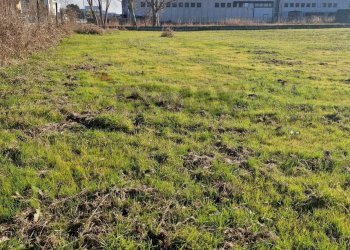 Giardino - Building land Via Torino
 
snc, Cerea - photo 13