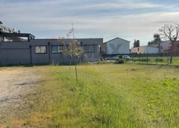 Edificio all\'aperto - Trilocale Cerea - foto 9