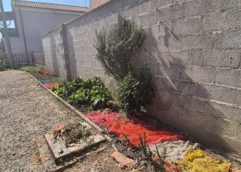 Giardino - Casa semi indipendente Via Chiesa
 
139, Ferrara - foto 6