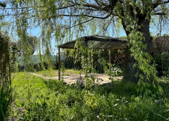 Giardino - Casa indipendente Via Tre Torri, Calvi - foto 4