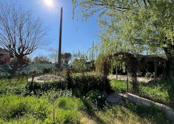 Giardino - Casa indipendente Via Tre Torri, Calvi - foto 6
