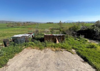 Giardino - Casa indipendente Via Tre Torri, Calvi - foto 22