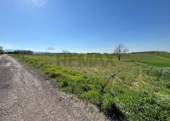 Giardino - Casa indipendente Via Tre Torri, Calvi - foto 30
