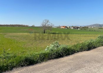 Giardino - Casa indipendente Via Tre Torri, Calvi - foto 31