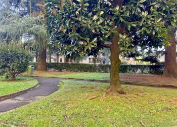 Foto 29 - Bilocale Via Guardi
 
58, Cinisello Balsamo - foto 29