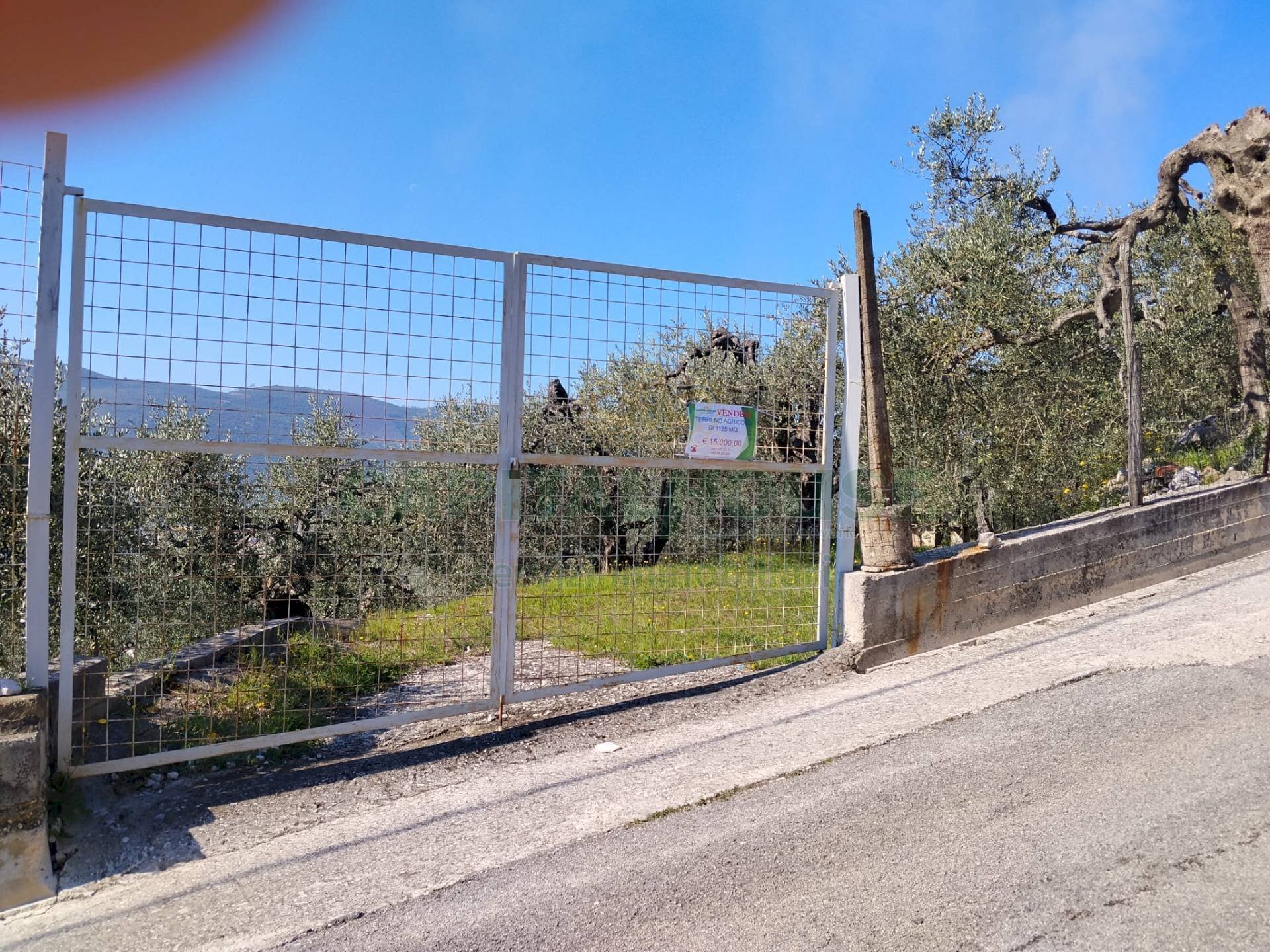 Foto 1 - Terreno agricolo sirignano, Sirignano - foto 1