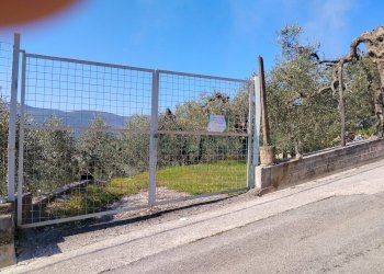 Foto 1 - Terreno agricolo sirignano, Sirignano - foto 1