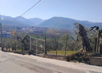 Foto 4 - Terreno agricolo sirignano, Sirignano - foto 4