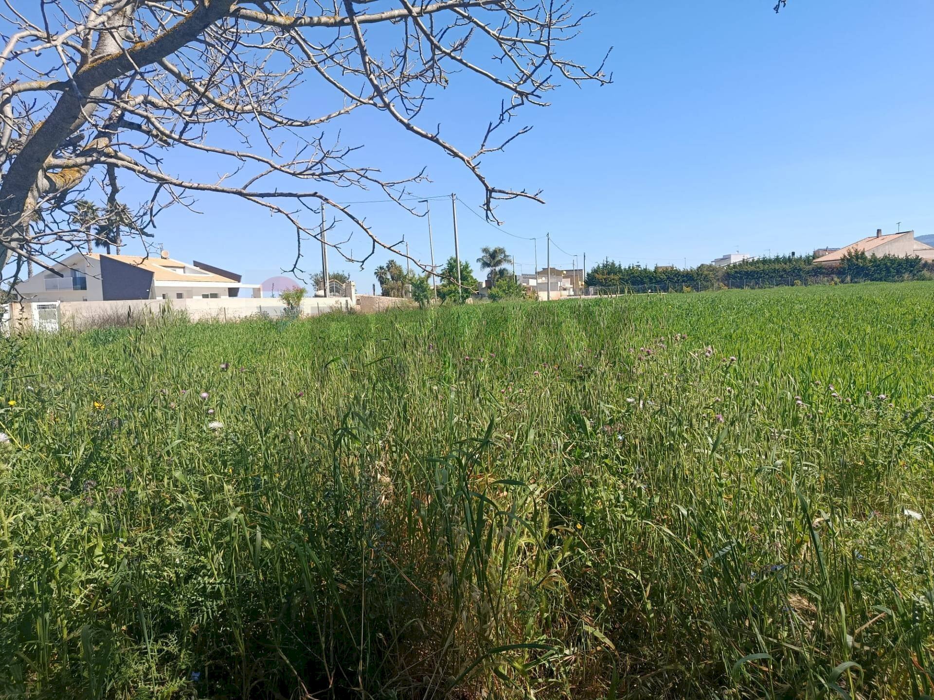 Giardino - Terreno agricolo via saragat, Comiso - foto 1