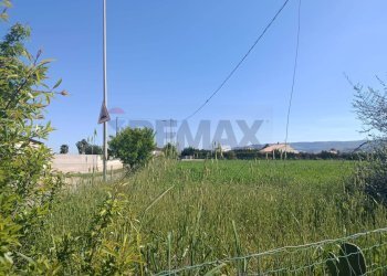 Giardino - Terreno agricolo via saragat, Comiso - foto 4