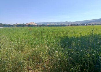 Giardino - Terreno agricolo via saragat, Comiso - foto 8