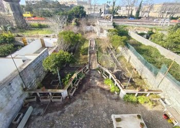 Giardino - Casa indipendente Via Vito Circolone 37-39, Maglie - foto 23