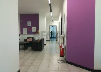 Hall / corridoio - Capannone Via Enrico Mattei
 
14, Pogliano Milanese - foto 15